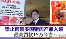 印尼猪瘟最新爆料,最新爆料揭示严峻形势